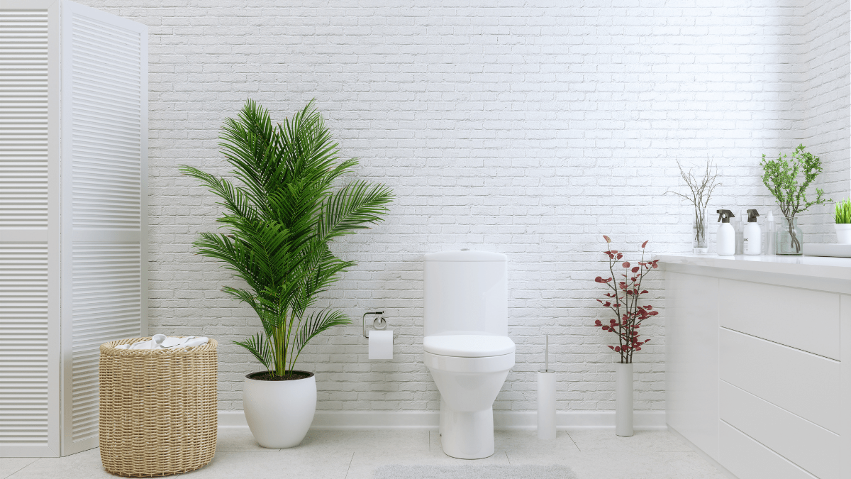 Toilettes : 9 astuces pour redécorer vos WC à moins de 50€